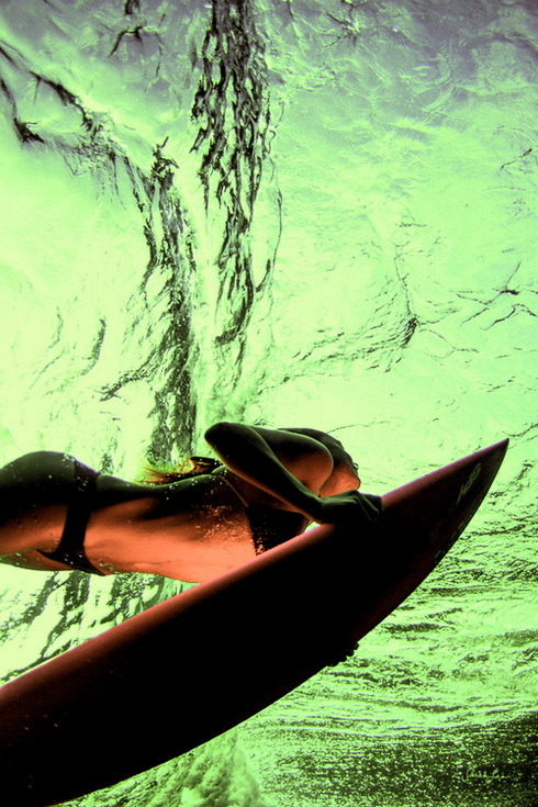 surfing-girls:  Surf GirlSurfing Girls Twitter