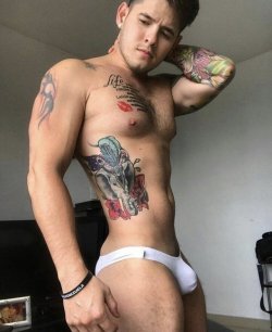 gayladsadventure:  For more of the best follow