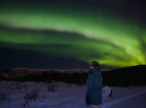 Got lucky this weekend! #latergram #north #auroraborealis #northernlights #arctic #northernsky #nigh