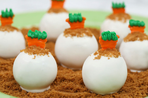 Carrot Cake BallsYields 2 dozenThe things you’ll needIngredients&frac34; cup plus 2 tablespoons all-