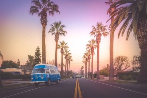 sabrina-wandxrlust:  California cruisin 
