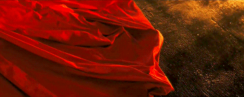 beycolored:“She sleeps all day. Dreams of you in both worlds. Tills the blood, in and out of uterus.