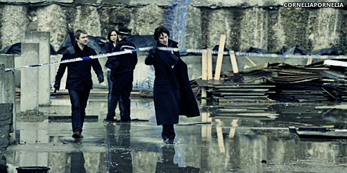 channybatch:  corneliapornelia:  Now this is adorable  it will never be the other