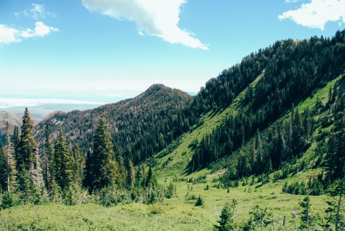 Deseret Peak10 July 2016