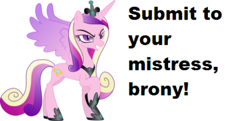 Submitte te tuae dominae, bronie! Submit to your mistress, brony! (Fons Imaginis.)