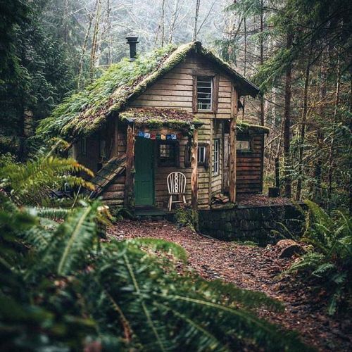 cabinsdaily:Featured cabin