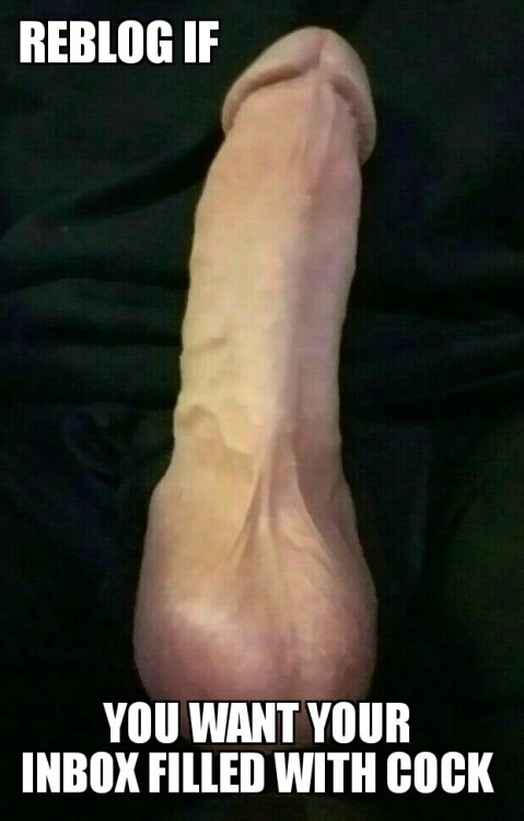 XXX bigcock12345689:  yes please i wont put them photo