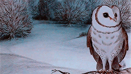 brianmight:The Snowman (1982)