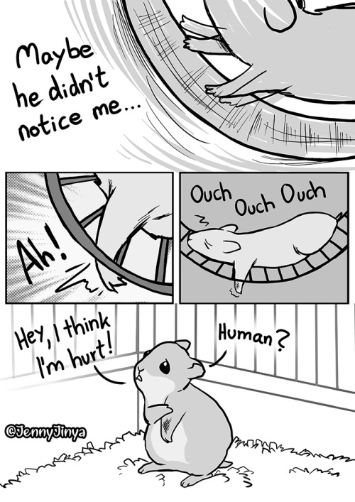 CW: animal neglectCan we talk about hamsters? ;_;Webtoons