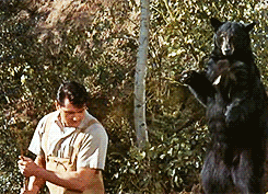 terrysmalloy:  Happy birthday Rock Hudson! Born Roy Harold Scherer Jr. November