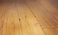 apricotedits:  Jiji (Kiki’s Delivery Service) pt. 4 