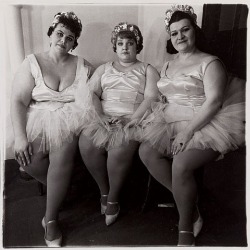 lauramcphee:   Three Circus Ballerinas, 1964, (Diane Arbus), 1964 via requiemforacinephile 