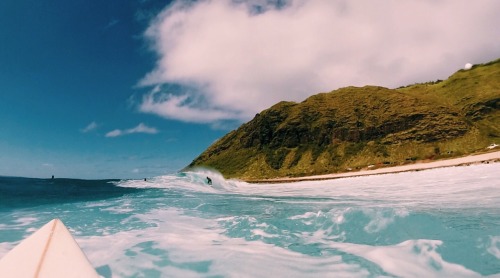 surfing-in-harmony: surf-sessions: ☼