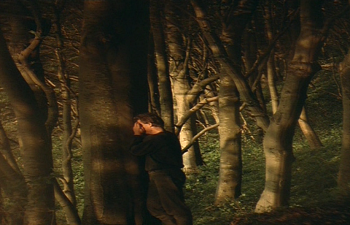 Mother and Son (Alexander Sokurov, 1997)