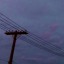 ash-wonders