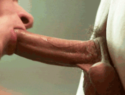 Bisexkiff