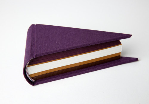 XXX fyeahbookbinding:  Cake books by Larissa photo