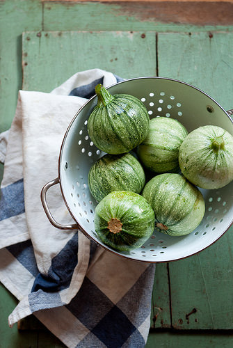 rusticmeetsvintage:Courgettes by -ashafsk- #flickstackrFlickr: flic.kr/p/ofbHt3