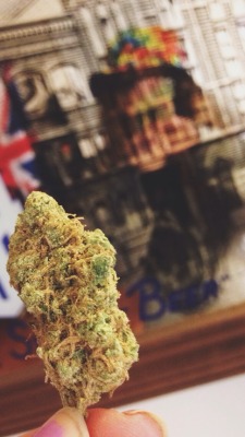 thc-kittyy:  NUG$ 