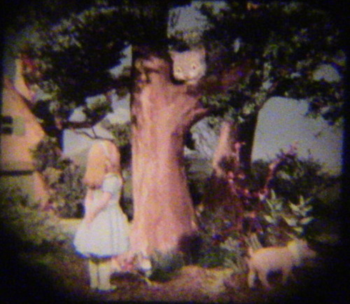 Slides From An Alice In Wonderland Viewmaster Series