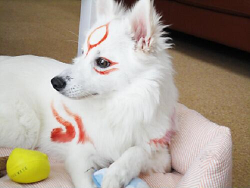 Ōkami cosplay :D