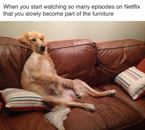 tastefullyoffensive:  (via betches)