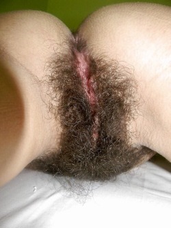 sexygirlshairy:nice hairy bush doggystyle