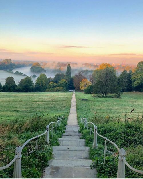 londongramer:Perfect starts don’t come better than this #RichmondPark by @veevs and it’s glorious! 