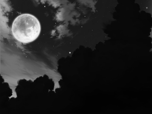 oriondiary:  ”It was me you needed all along.” 