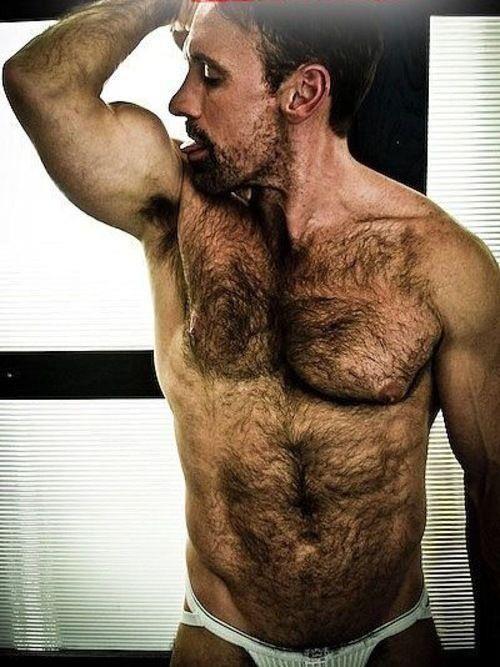 My two hairy men blogs: http://sambrcln.tumblr.com/archive http://hairysex.tumblr.com/archive