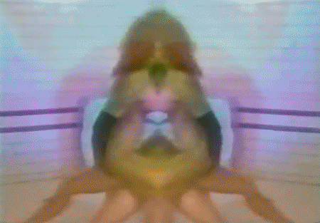 The Pineal Gland Soul Surfer: Diego Wha