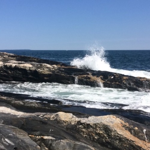 blue-greenery: Pemaquid Point