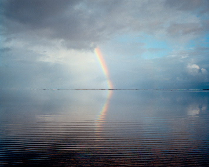 mdme-x:  Island, 2014 | by Cody Cobb