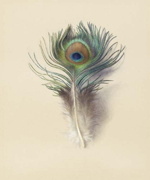 gazophylacium:John Ruskin; today (Feb. 8th) is his birthday. His writings had a tremendous influence