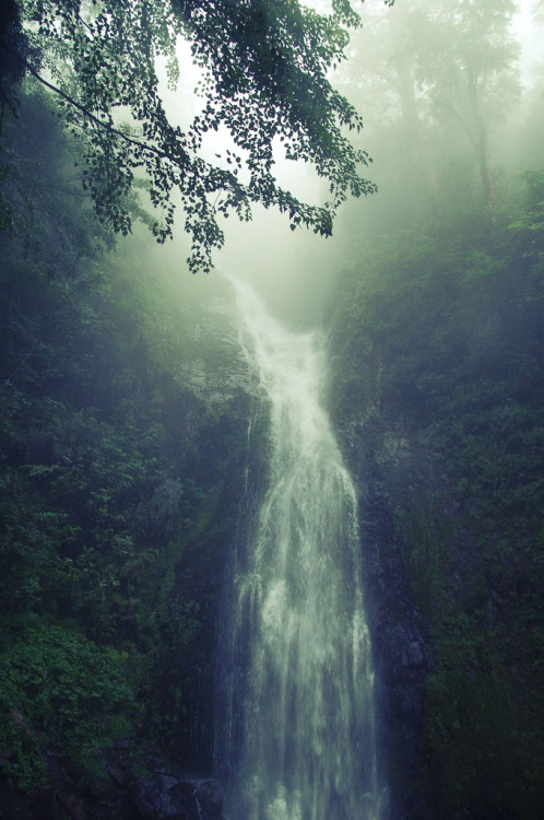 jessloveslily:  wow,might be our watefall my love…<3 you lily…   Beautiful!