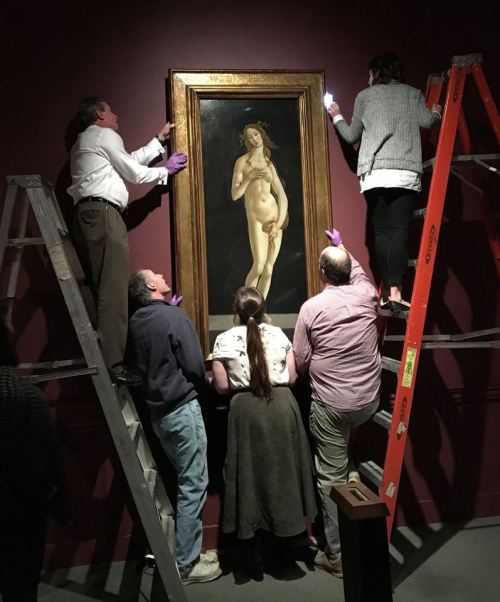 installator:“Earlier this week, we hung Botticelli’s famous painting, Venus, from the Sabauda Galler