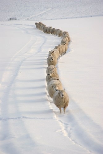 Single file, please