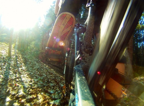 greinerjuliexo: #ridingmakesmehappy