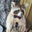 theweaselsmom