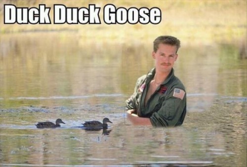 cheesewhizexpress:  Bahahaha so far this is my favorite duck post.  Lol