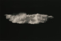 Zoebalthus:  Serie Kawa # 4 - Masao Yamamoto