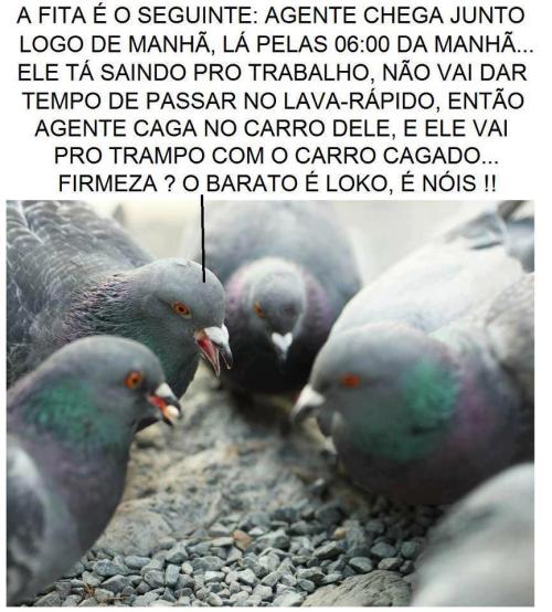 barato é loko mesmo tá ligado