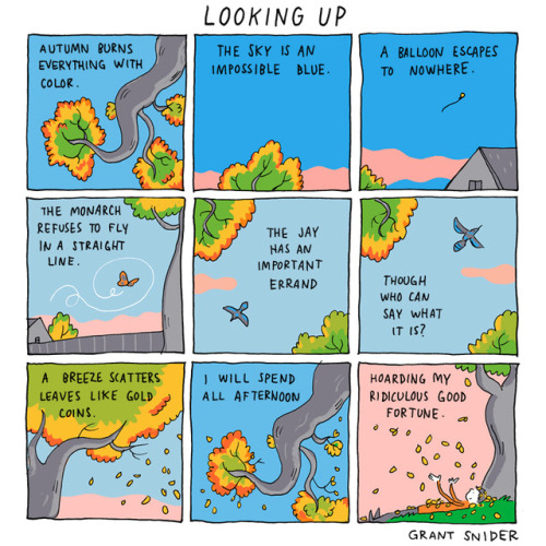 incidentalcomics: Looking Up The Shape of Ideas Book | The Shape of Ideas Calendar | Incidental Comi