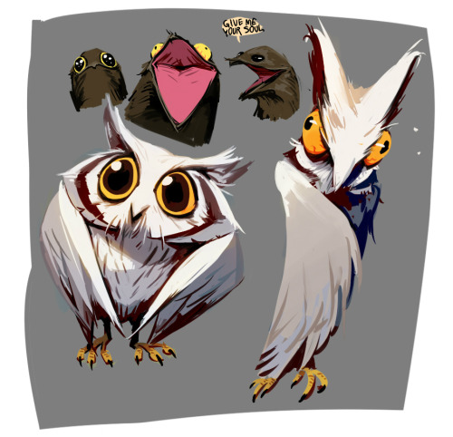 ssulsol:  BIRDS