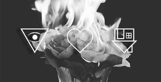 with-nbhd:  The Neighbourhood Logo + Burning Roses