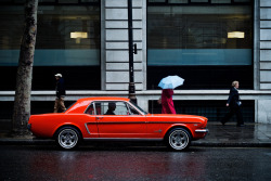 automotivated:  &ldquo;sTanG&rdquo; (by Glenn’s_Photoscape) 