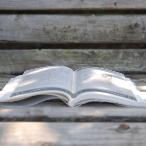 teamshercock: utilitarianthings: &lsquo;Book on Book' is a transparent paperweight that hol