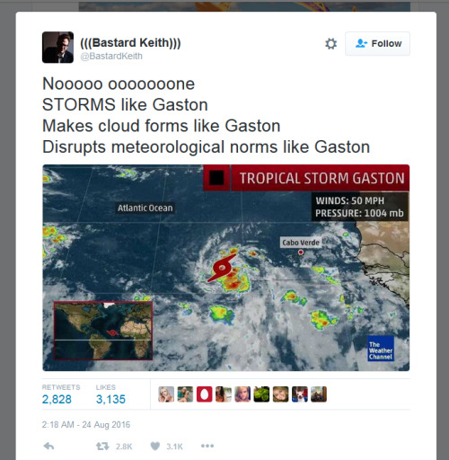 egglorru:immaplatypus:“I’M ESPECIALLY GOOD AT PRECIPITATING”“MY WHAT AN EYE THAT GASTON”