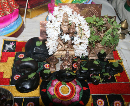 Lakshmi Narasimha and Salagramas