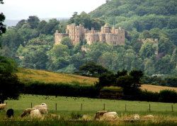 pagewoman:   Dunster Castle, Dunster, Somerset,